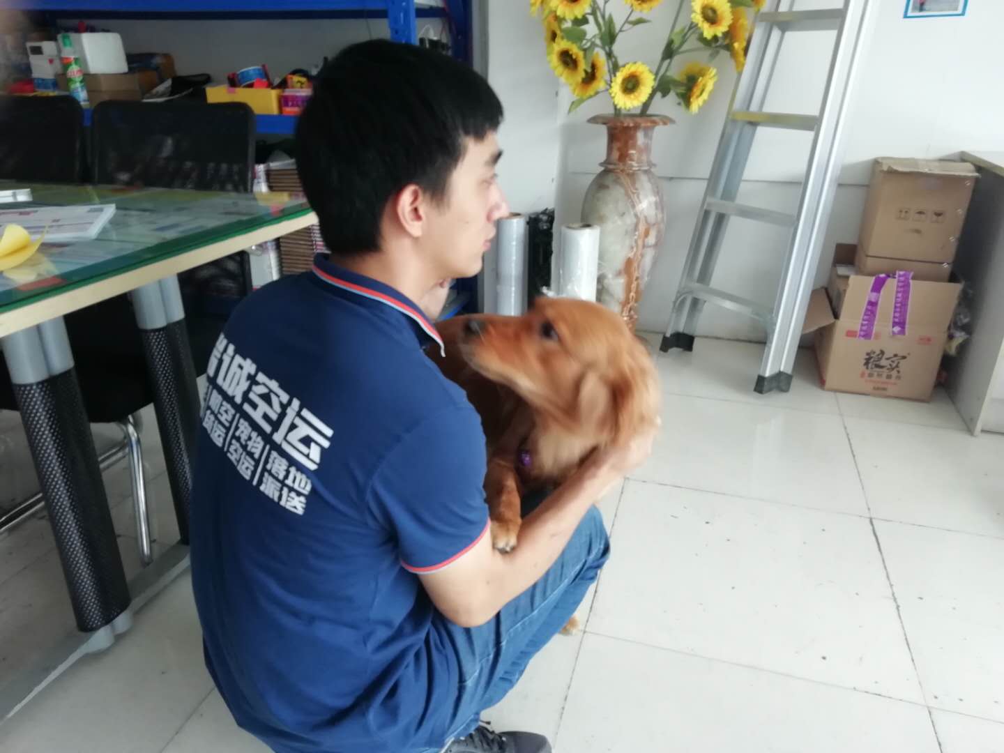 寵物航空托運(yùn)全攻略